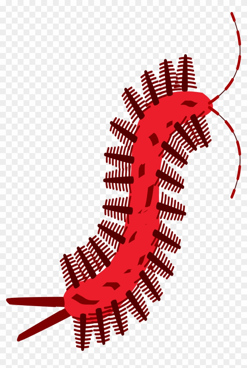 Big Image - Centipede Clipart #406826