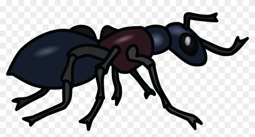 Free Clipart Of An Ant - Ant Images Black And White #406837