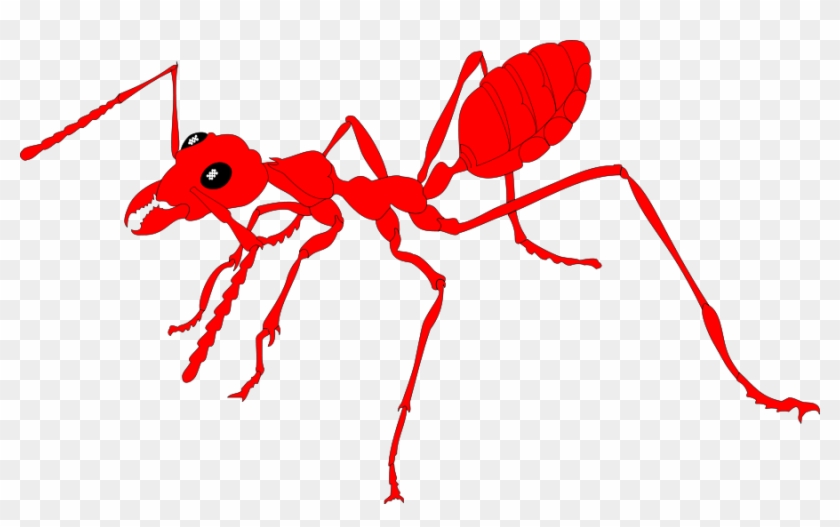 Insect Animal 24 Clip Art - Ant #406861