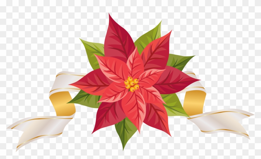 Poinsettia With Ribbon Png Clipart Image - Poinsettia Clip Art Free #406867