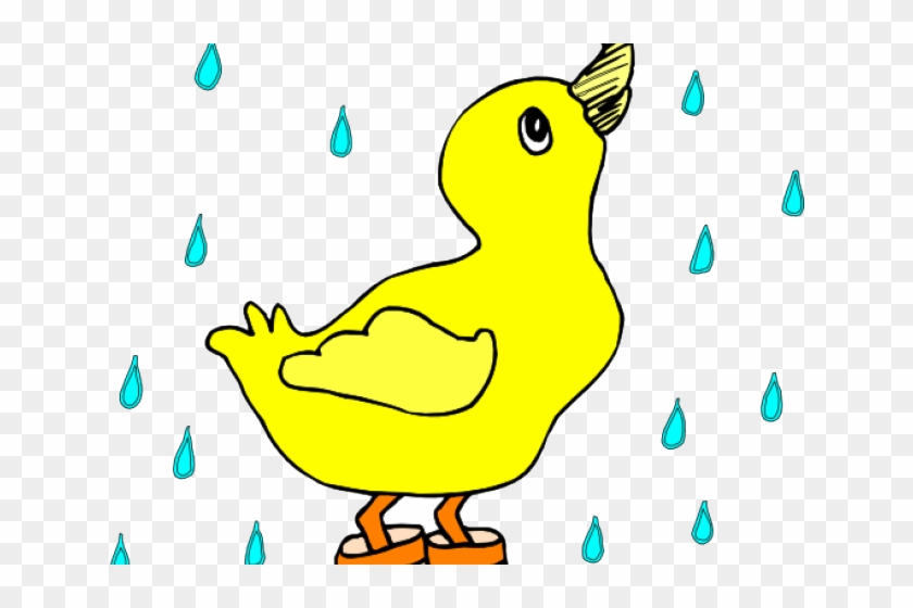 Rain Clipart Duck - Duck In A Puddle #406925