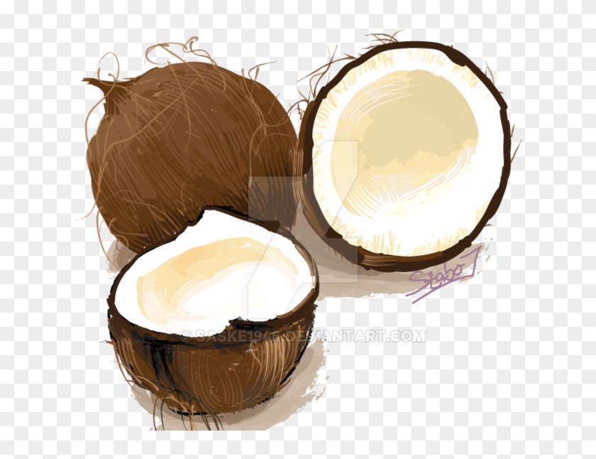 Coconut Illustration By Saske1946 - Buttercream #407015