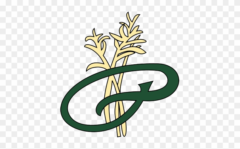 The Prairies Golf Club - Cahokia #407159