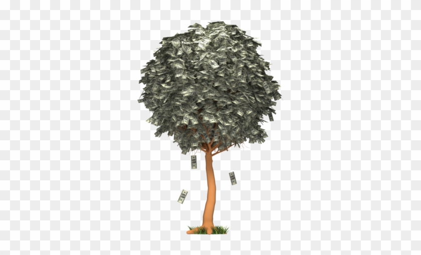 Images - Money Falling From Tree Gif #407209