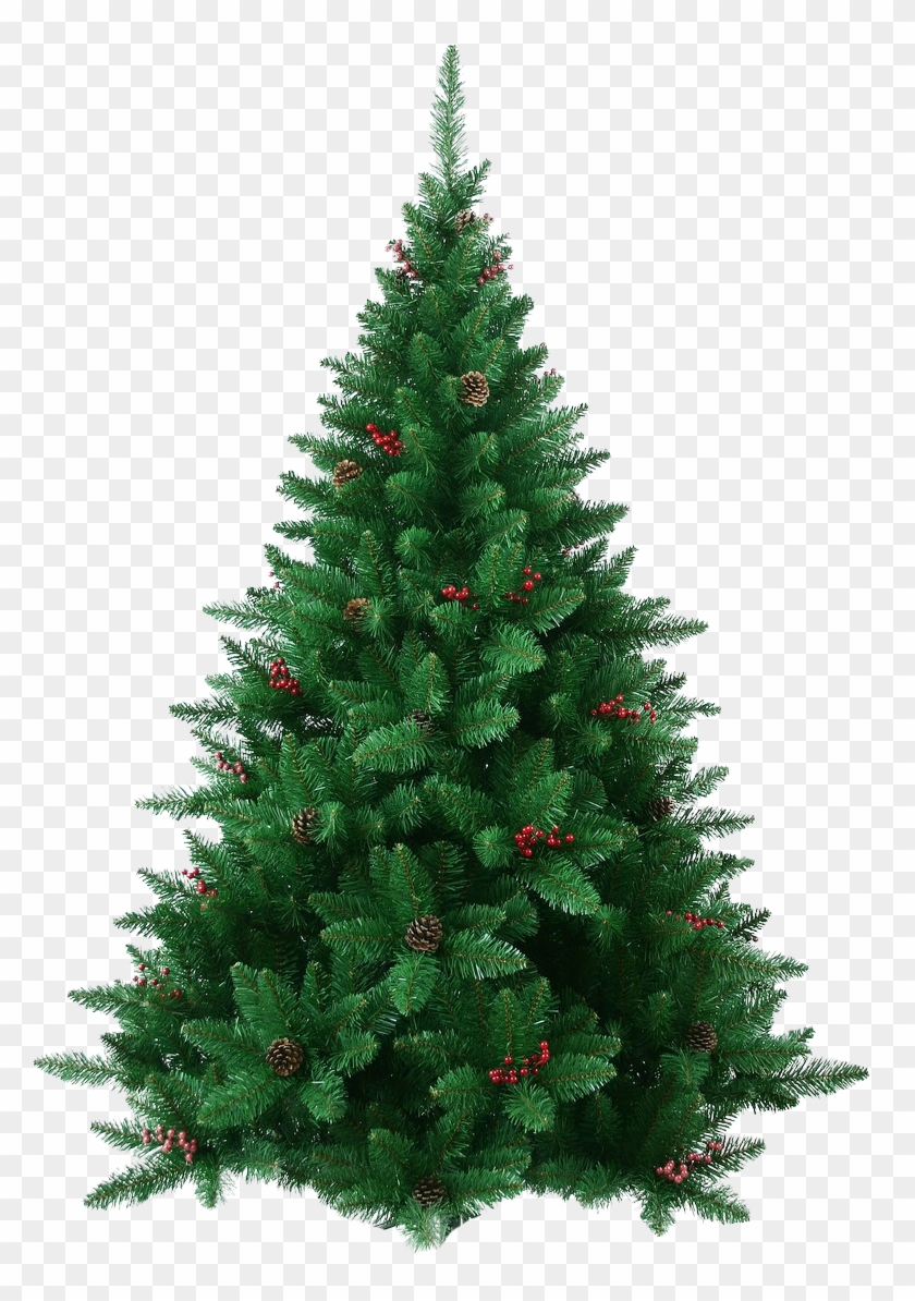 Xmas Pine Tree Decorated Christmas Tree Clipart - Tree Is Christmas Tree #407245