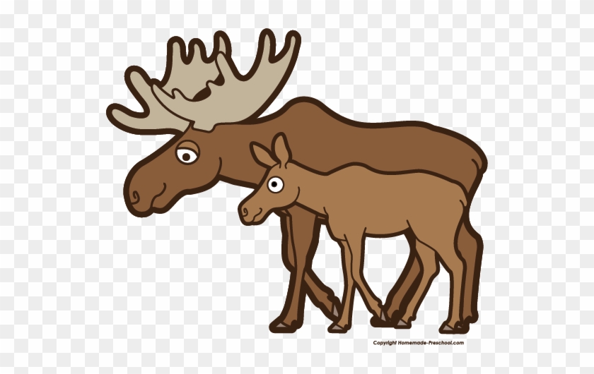 Free Moose Clipart - Deer And Moose Clip Art #407350