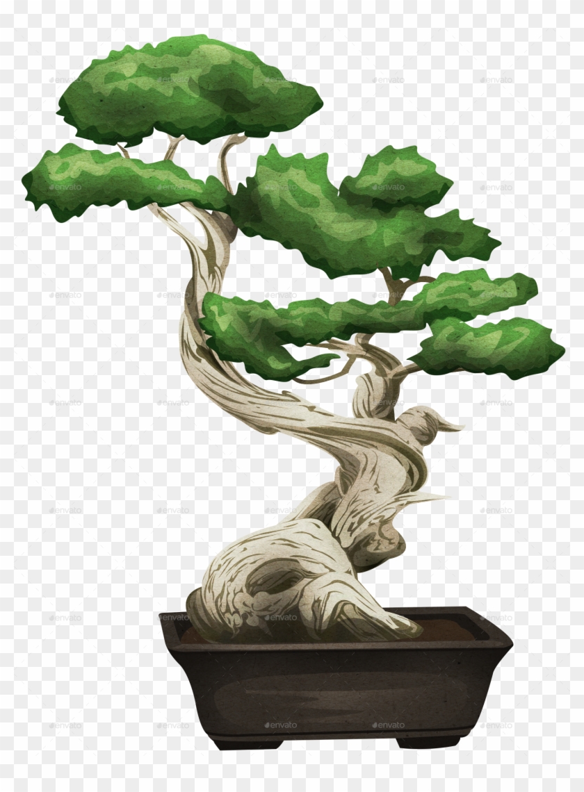 Jpg Bonsai - Bonsai Png #407477