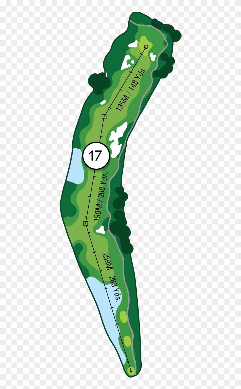 Hole - Hole #407489