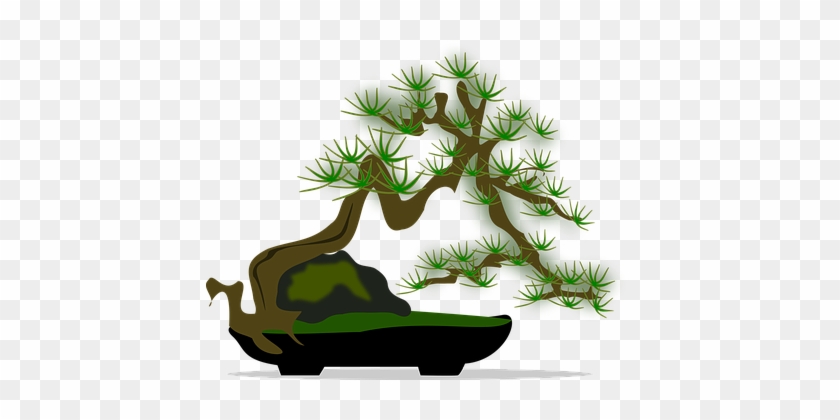 Bonsai Clip Art Flora Nature Plant Tree Bo - Clip Art #407525