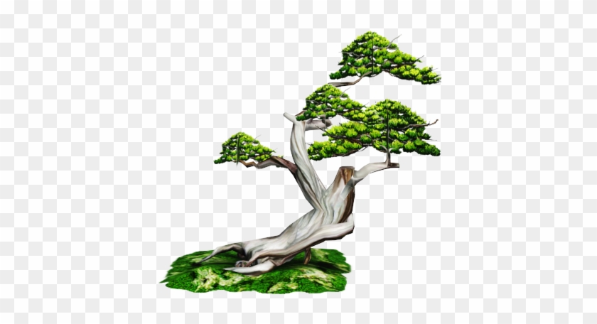 Bonsai Lowpoly - Sageretia Theezans #407560