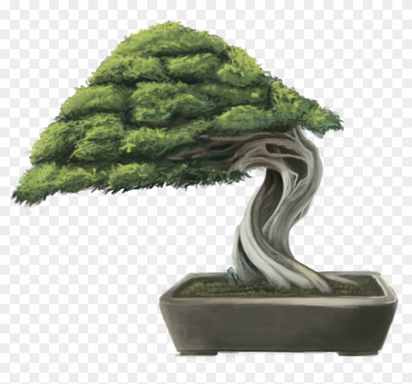 Bonsai Tree By Minums Bonsai Tree By Minums - Bonsai Png #407614
