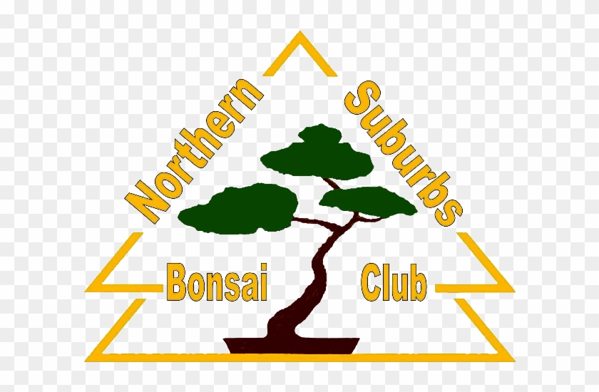 Northern Suburbs Bonsai Club - Mornington #407691