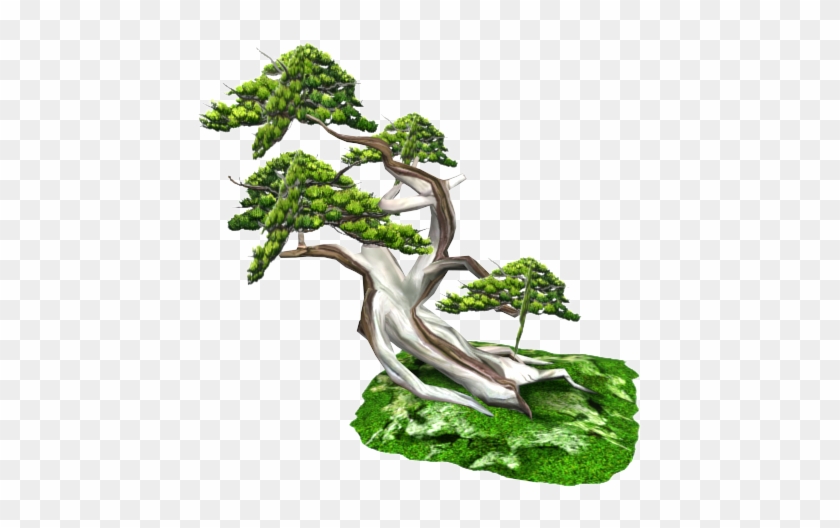 Bonsai Lowpoly - Western Juniper #407723