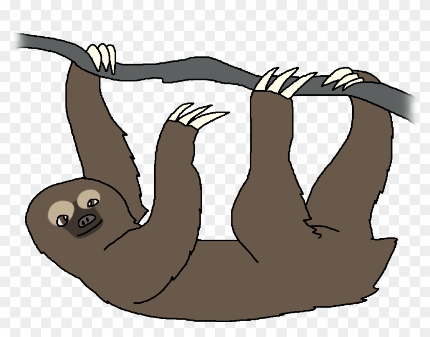 Brown-throated Sloth - Cartoon #408003