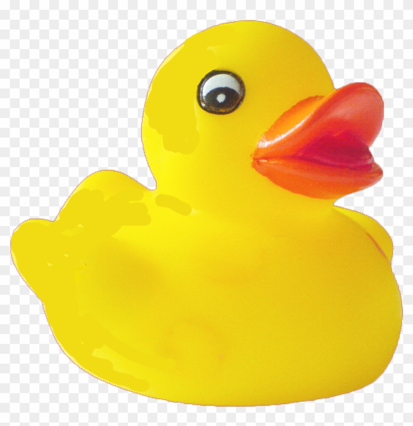 Duck Png Image With Transparent Background - Rubber Ducky Png #408076