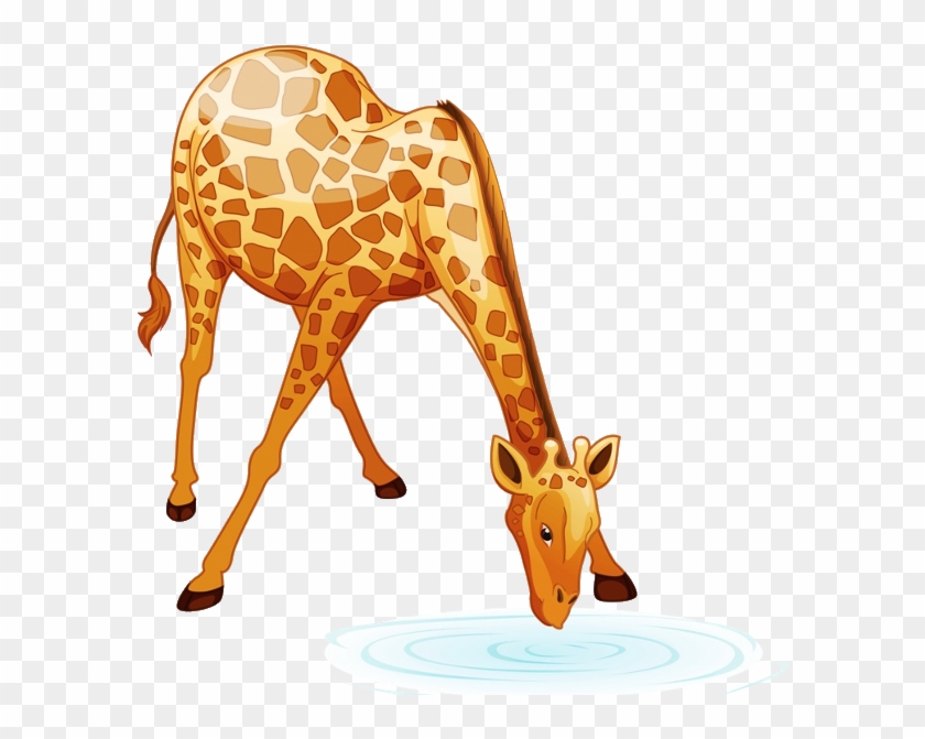 Giraffe Clipart Jungle Safari Baby Shower By Shannariehlartshoppe - Cartoon  Giraffe Drinking - Free Transparent PNG Clipart Images Download