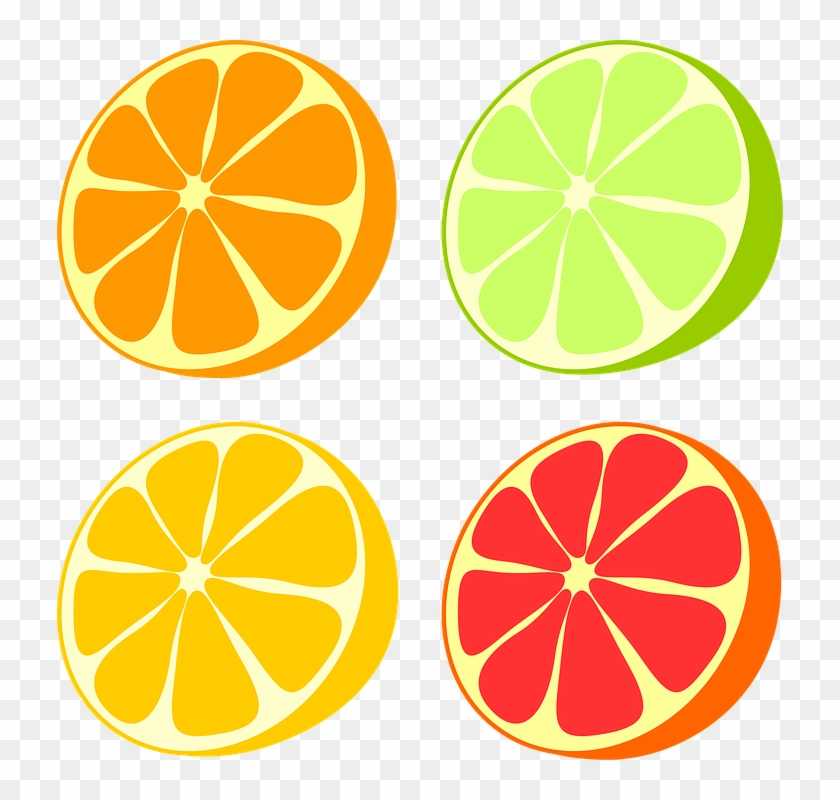 Set Of Citrus Fruits - 자몽 일러스트 Png #408623