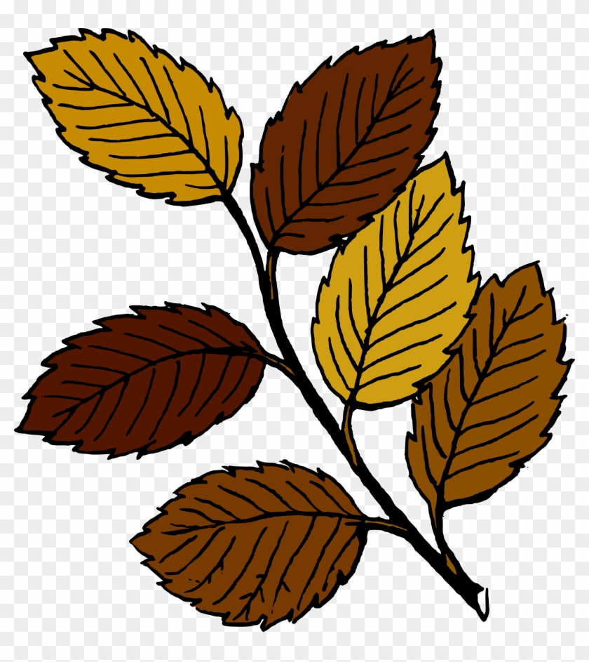 Leaves - Leaves #408628