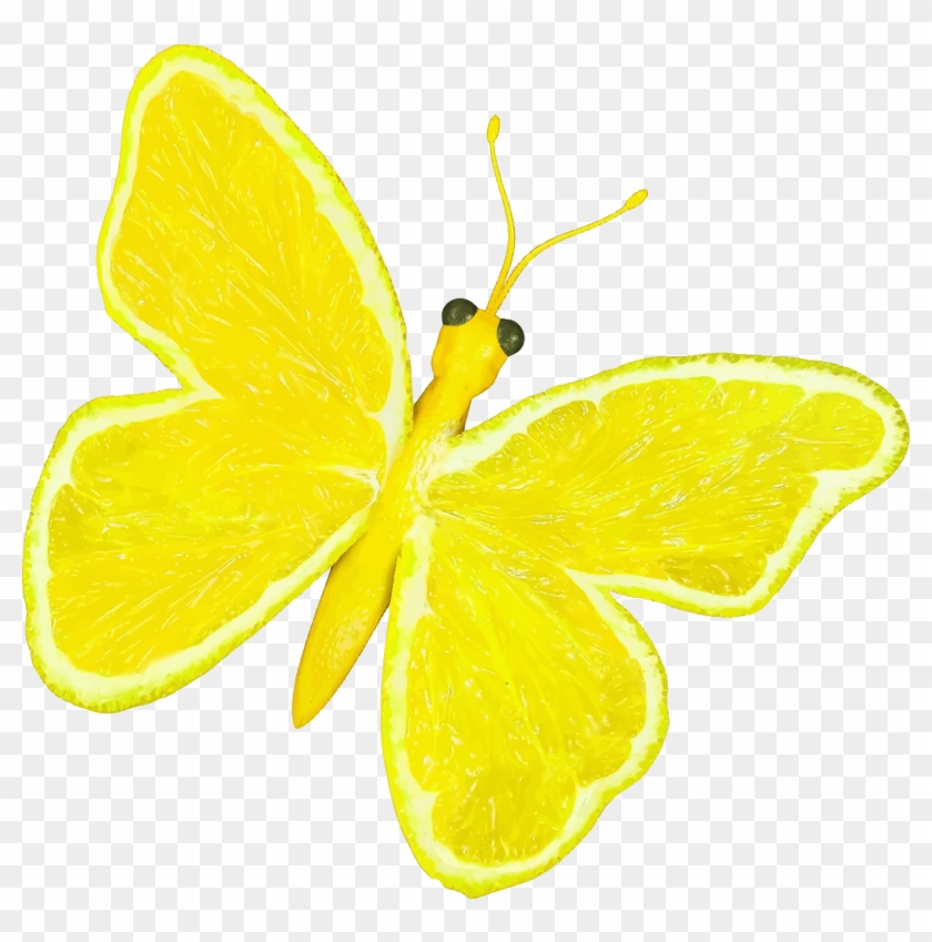 Big Image - Citrus Lemon Butterfly #408640