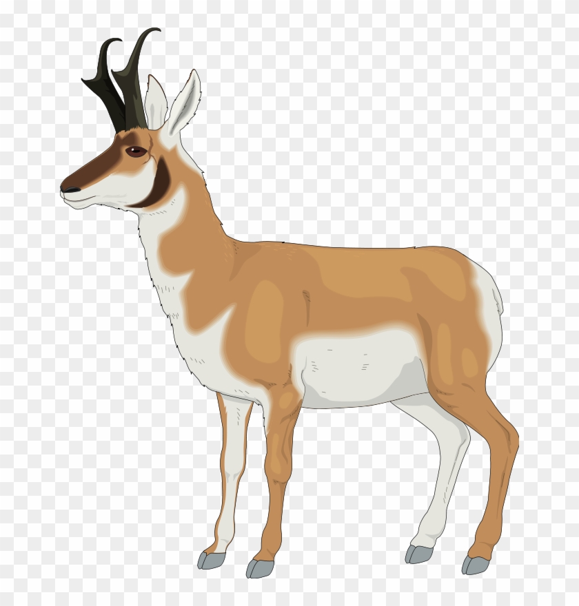 The Olton Mustangs Vs - Pronghorn Clipart #408756
