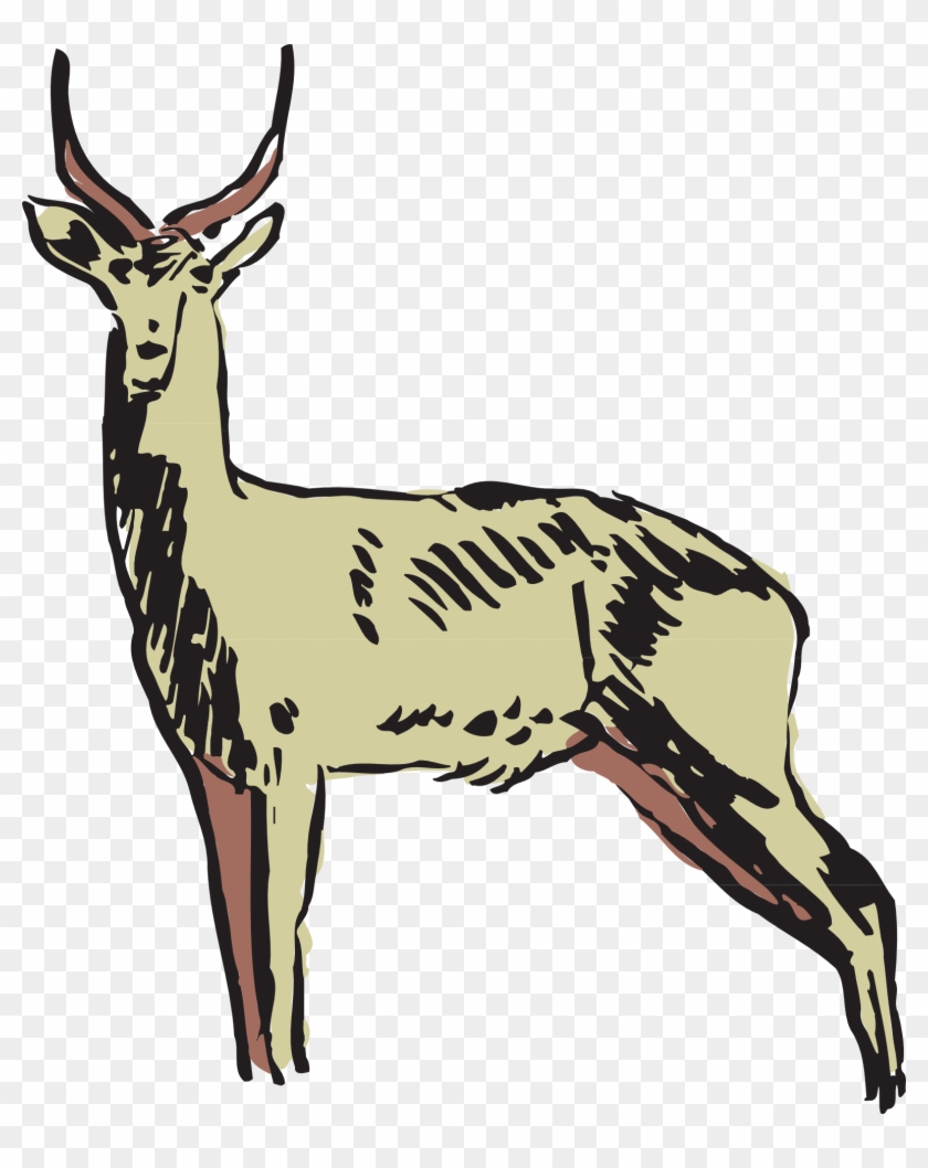 Pronghorn Antelope Clipart Gazelle - Animals Clipart #408777