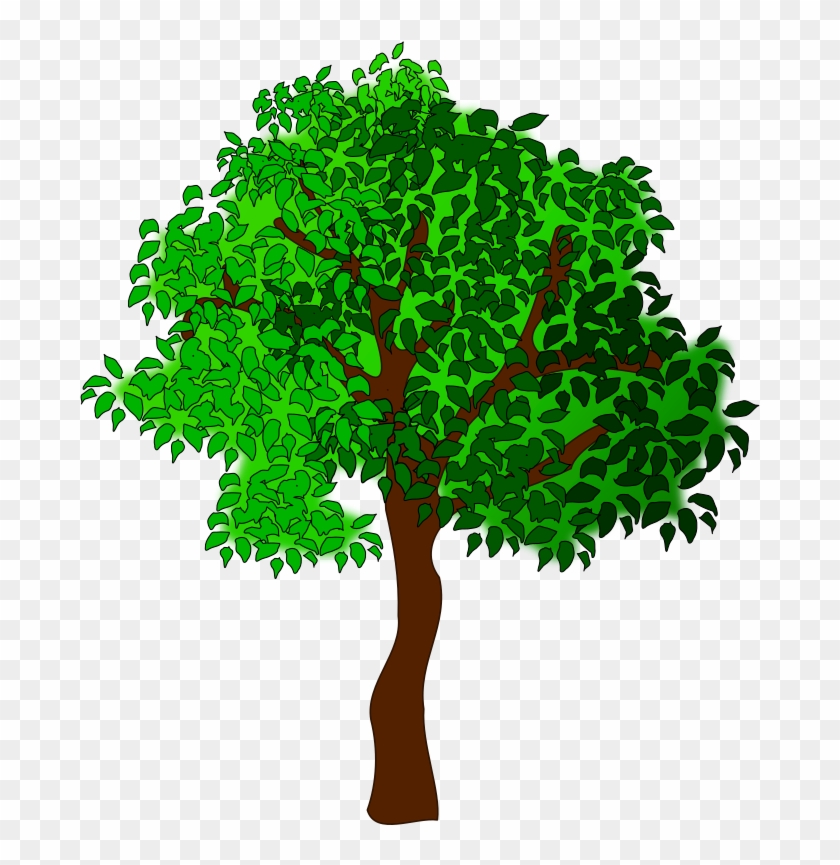 Medium Image - Trees In Summer Clipart #408872