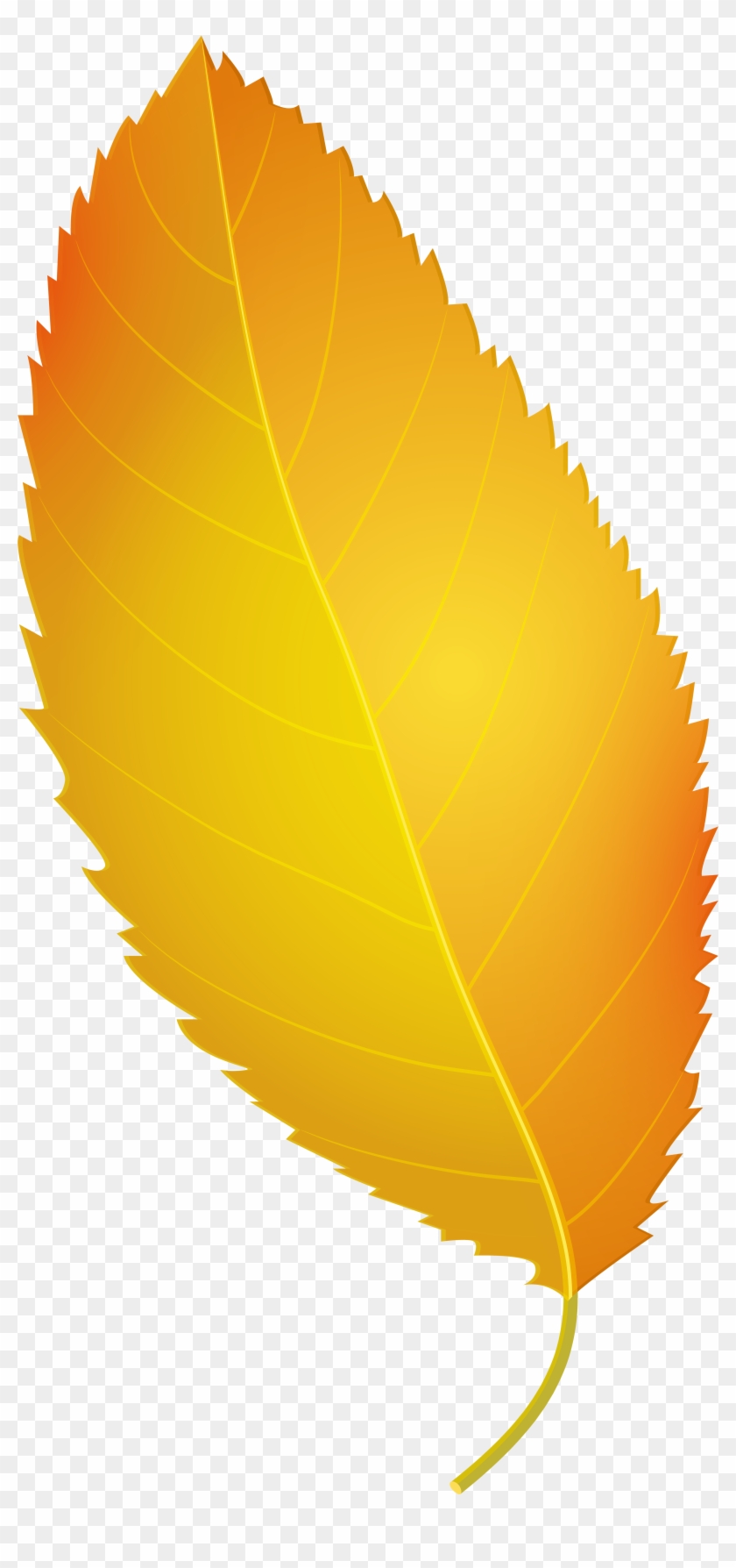 Yellow Autumn Leaf Png Clip Art - Yellow Leaf Png #408899