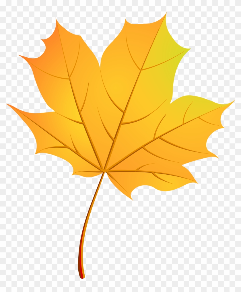 Autumn Leaves Maple Leaf - Кленовый Лист Вектор Png #408922