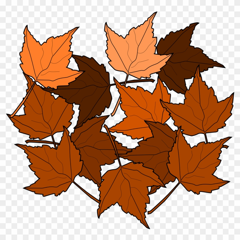 Leaf Clip Art Free Pictures - Dried Leaves Clip Art #408991