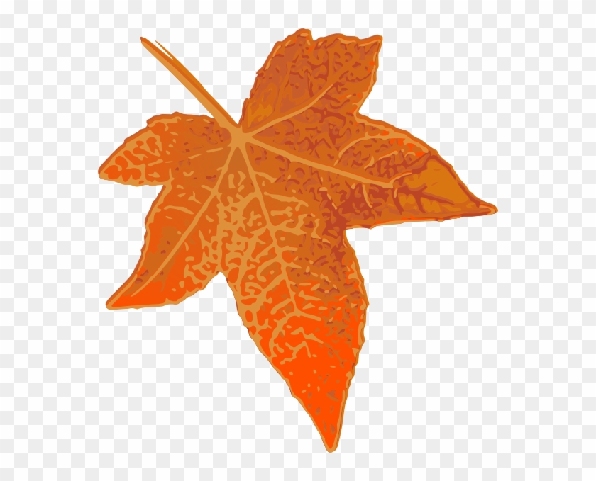 Orange Maple Leaf Clip Art #408996