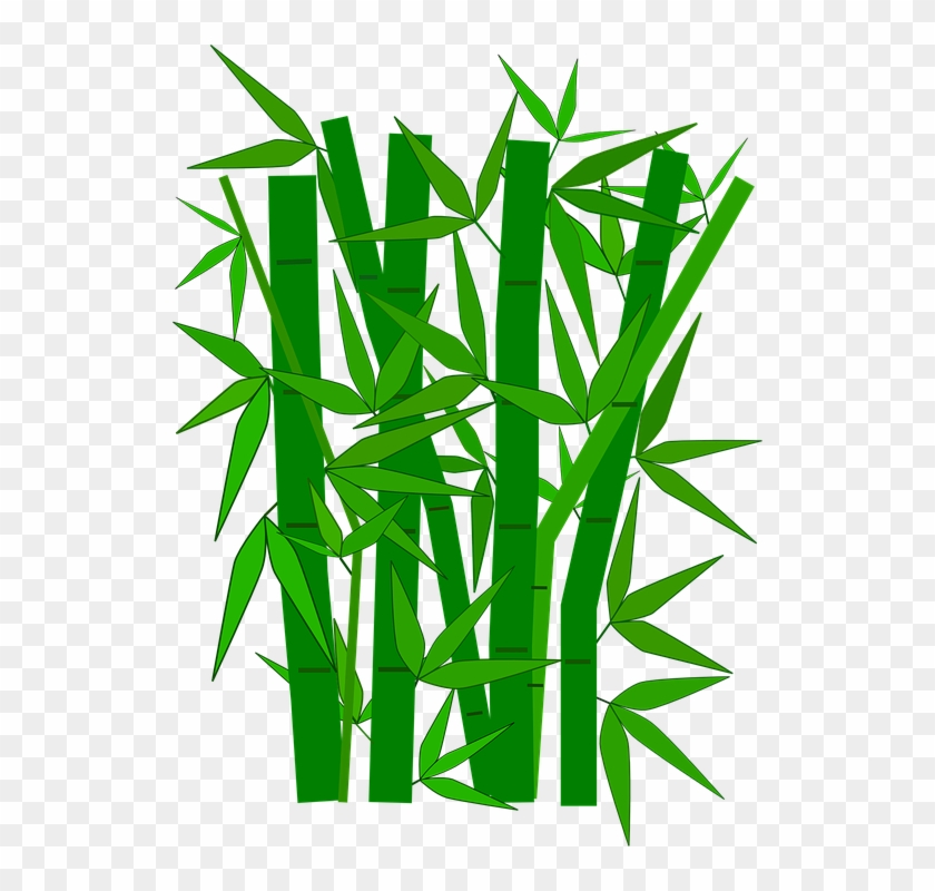 Jungle Leaves Cliparts 25, Buy Clip Art - Bamboo Clipart #409120