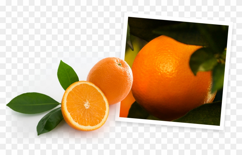 In Fact, The Oranges That Go Into Each Carafe Of Simply - Simply Orange Transparent #409235
