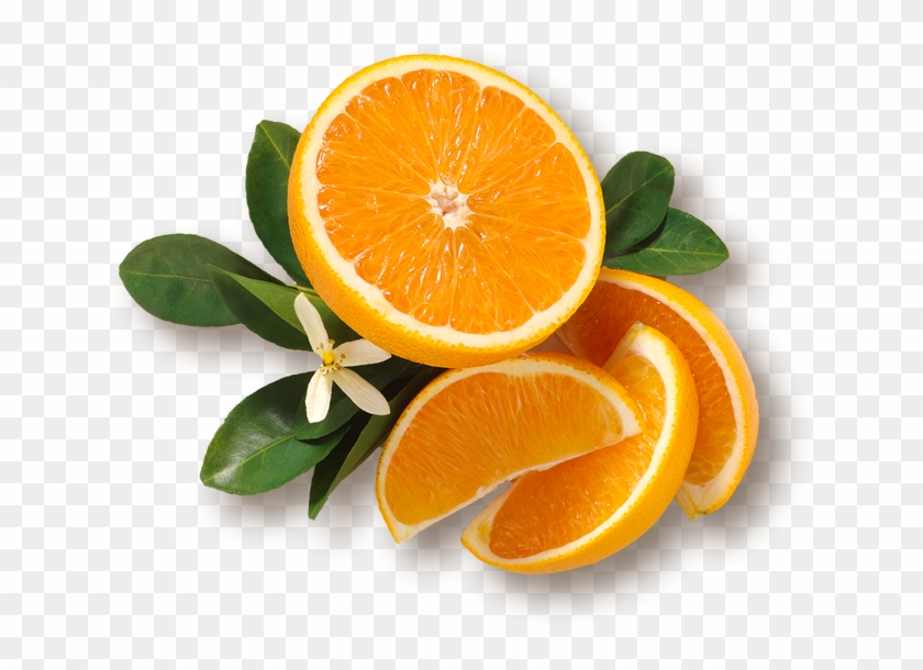 Our History - Mandarin Orange #409240