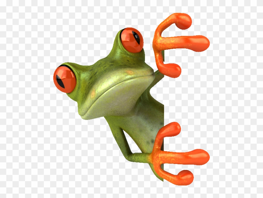 0 Replies 1 Retweet 0 Likes - Frog 3d #409252