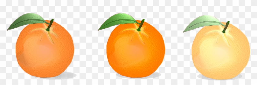 Orange, Vector, Citrus Fruits, Fruit - Orange #409279