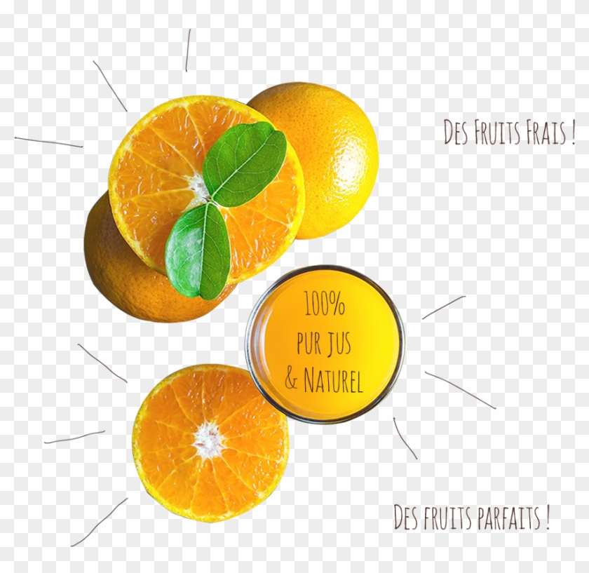 Oranges & Co - Rangpur #409538