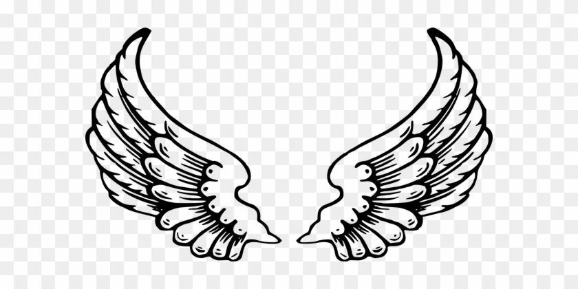 Angel Wings Open White Feathers Peace Safe - Angel Wings And Halo Png #409794