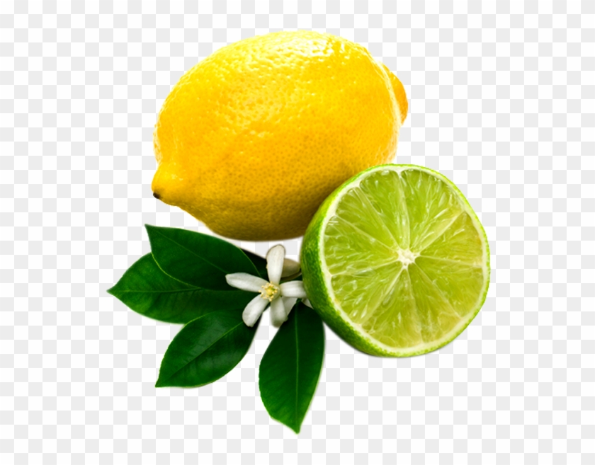 Lemon On Transparent Background #409899