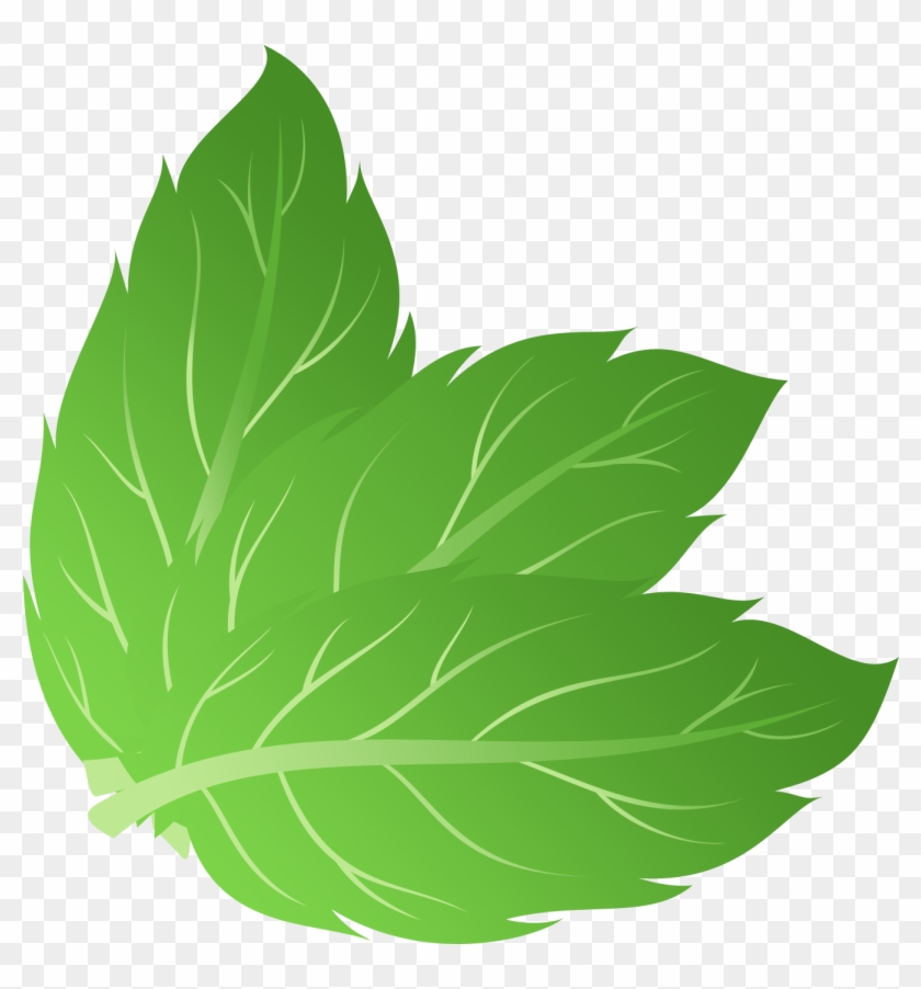 Mint Drawing Mi - Mint Leaf Vector Png #410017