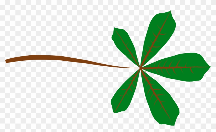 How To Draw A Leaf - Palmate Leaf #410043