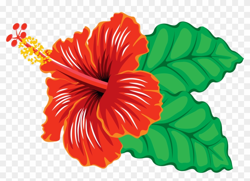 Hibiscus Clipart Red Hibiscus - Hibiscus Flower Images Clipart #410476