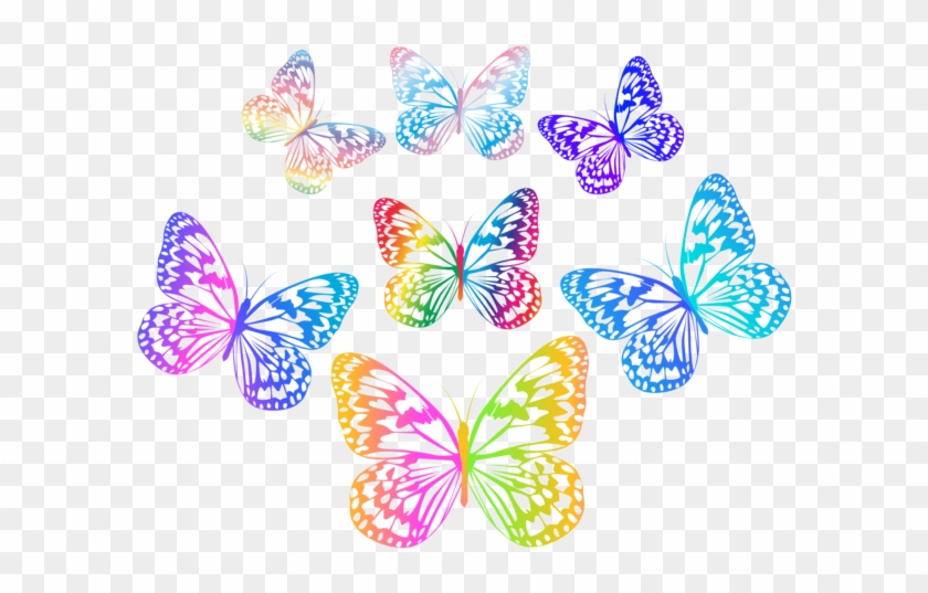 Decorative Multicolored Butterflies Png Clip Art - Mein Fantastisches Leben - Von Wegen! #410551