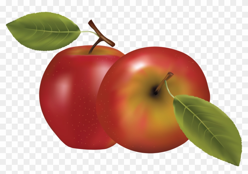 Apple Png - Clipart Transparent Background Apple #411516