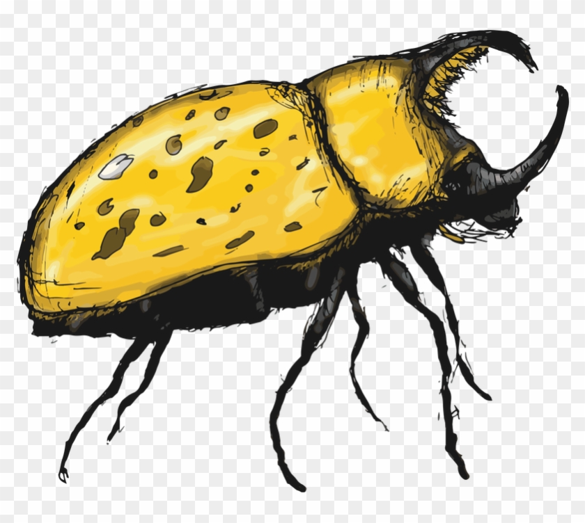 Redbubble - Japanese Rhinoceros Beetle #412236