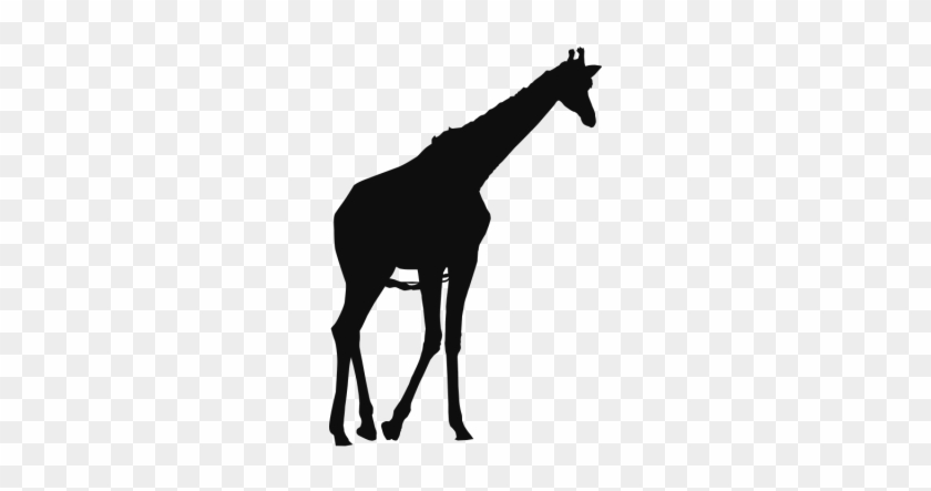 Girafe Des Animaux Sauvages Clip Art Contexte Gratuit - Giraffe #412366