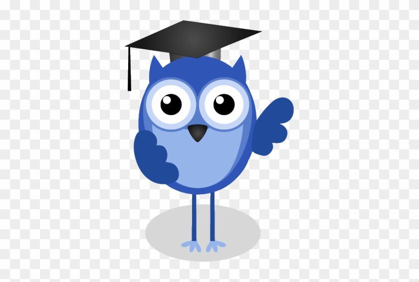 Online Homework System Owl - Teacher Owl On A Branch #413369