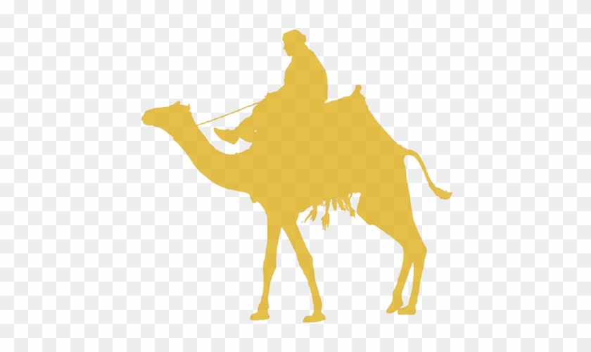 À Travers Nos Partenairesbalades À Cheval & Dromadaire - Camels Silhouette #413473