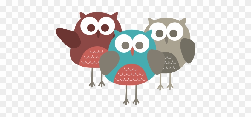 Il Owl Family - Owl #413925
