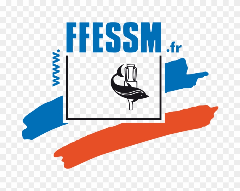 Rectangle À Coins Arrondis Logo Ffessm Fond Transparent - Fédération Française D'études Et De Sports Sous-marins #414039