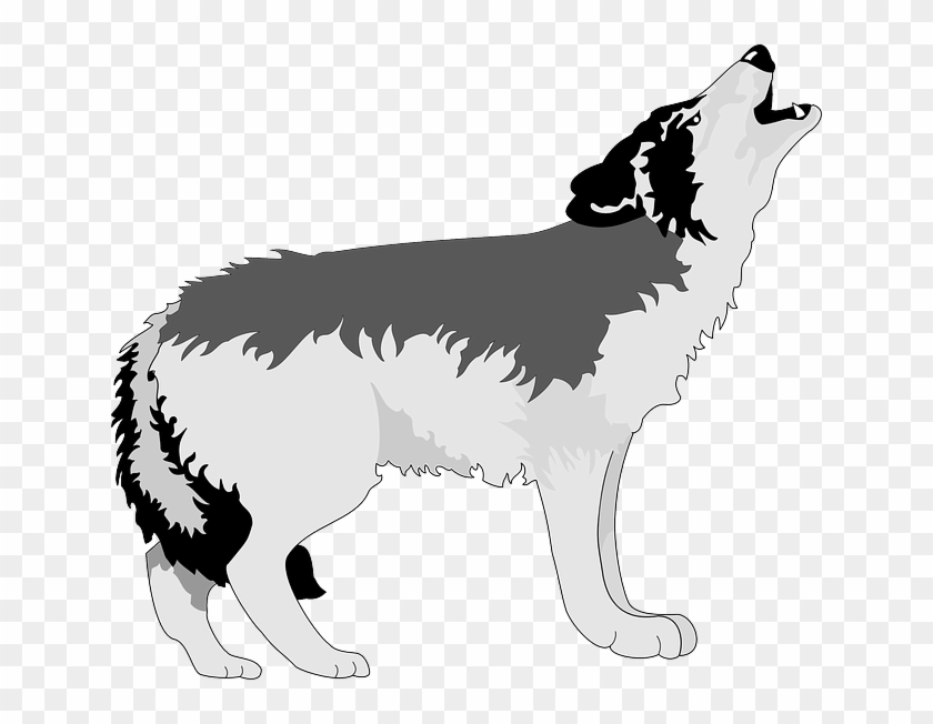 Gray Wolf Clipart #414217